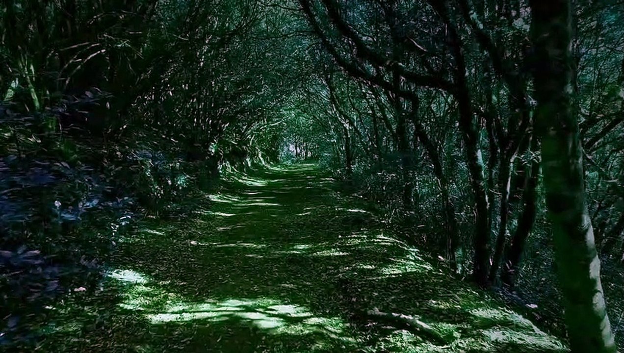 Anti- Anxiety Cleanse || Peaceful Positive Energy Meditation Music