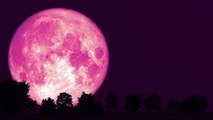 Pink Moon Date and Time 2023 : कब दिखेगा पिंक मून 2023 | Pink Moon 2023 Kab Hoga | Boldsky
