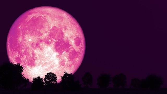 Pink Moon Date and Time 2023 : कब दिखेगा पिंक मून 2023 | Pink Moon 2023 Kab Hoga | Boldsky
