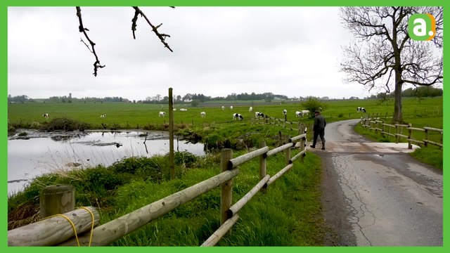 Patrimoine oublié de Wallonie : le tunnel à bateaux de Bernistap