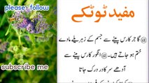 Totky Lajawab | IF You Eat Soaked Fenugreek Seeds on Empty Stomach |The Ground Will Slip |