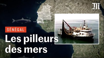 Enquête sur le pillage des eaux ouest-africaines