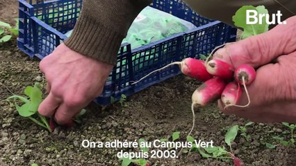 Son logement étudiant, c'est un studio à la ferme