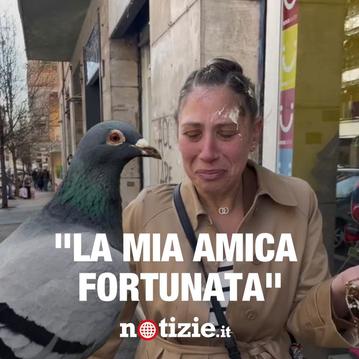 Ragazza cammina per strada e viene colpita dalla cacca di un gabbiano