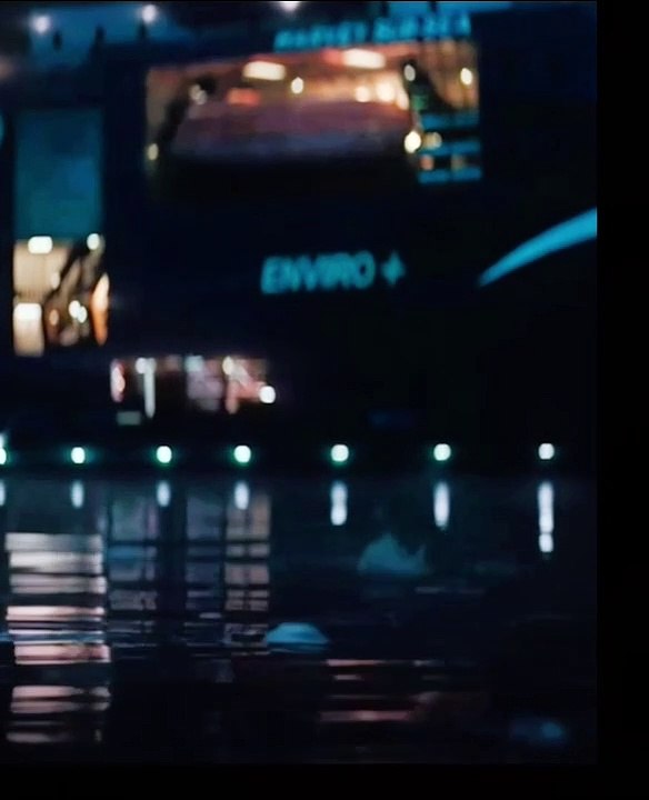 Wakanda forever fight seen