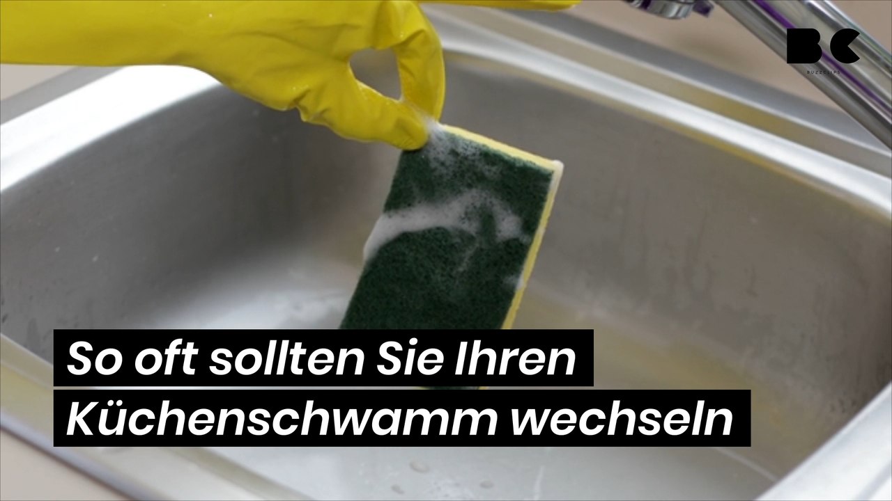Keimschleuder: So oft sollten Sie Ihren Küchenschwamm wechseln