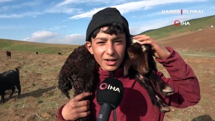 Annesinin reddettiği kuzuya küçük çoban sahip çıktı