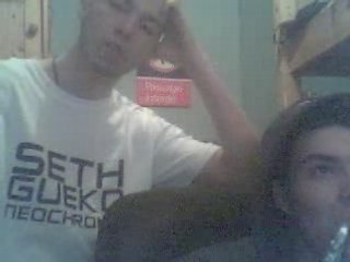 Les croniques de la chambre les licornes