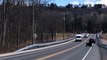 Mama Bear Helps Baby Cross The Road