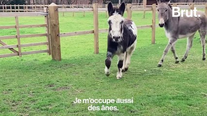 Profession : maréchale-ferrante