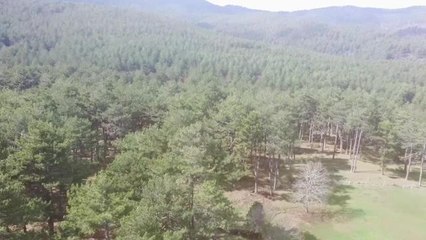 Kazdağı Doğal ve Kültürel Varlıkları Koruma Derneği'nin Başvurusu Üzerine Balıkesir'deki Altın Madeni Projesi İçin "Çed Gerekli" Kararı Verildi:...