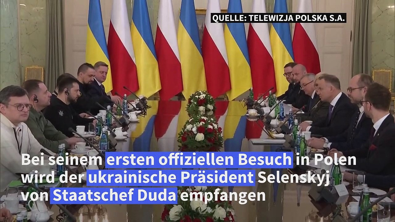 Ukraine: Polen zu Abgabe all seiner MiG-29 bereit