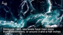 Sea Level Rise Is Accelerating Faster Than We Thought According to a New NASA Report