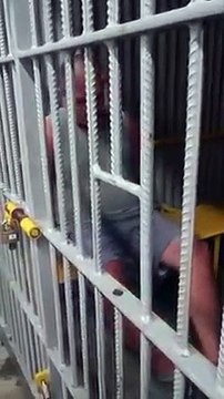 Polícia identifica autor de atentado que deixou 4 crianças mortas e outras 4 feridas em Santa Catarina
