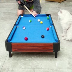 Cat playing snooker