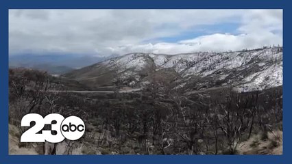 Forest service working on areas impacted by storms, wildfires