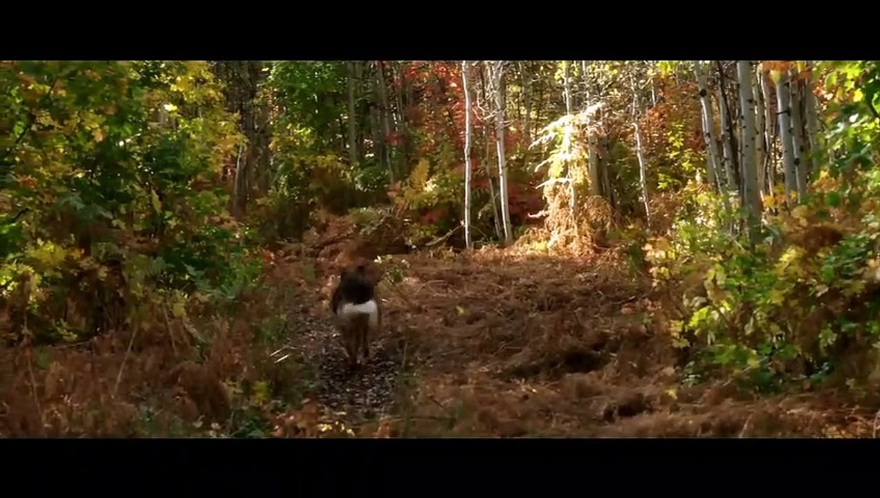 Freeway et nous Bande-annonce (FR)