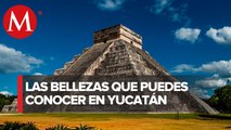 Yucatán, uno de los destinos más seguros para visitar en Semana Santa: Michelle Fridman
