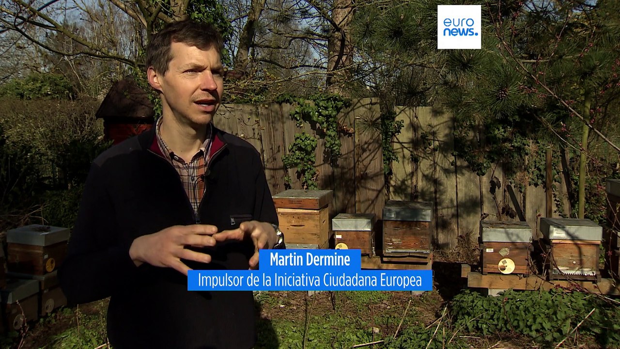 Bruselas no cambiará la ley de pesticidas para proteger a las abejas, pese a la demanda ciudadana