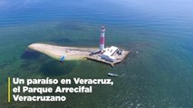 Un paraíso en Veracruz, el Parque Arrecifal Veracruzano.