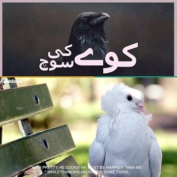 Every muslims must watch this video | great message for every muslims | dailybase563