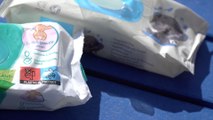 Rochester activists say plastic wet wipes are a threat to our eco system