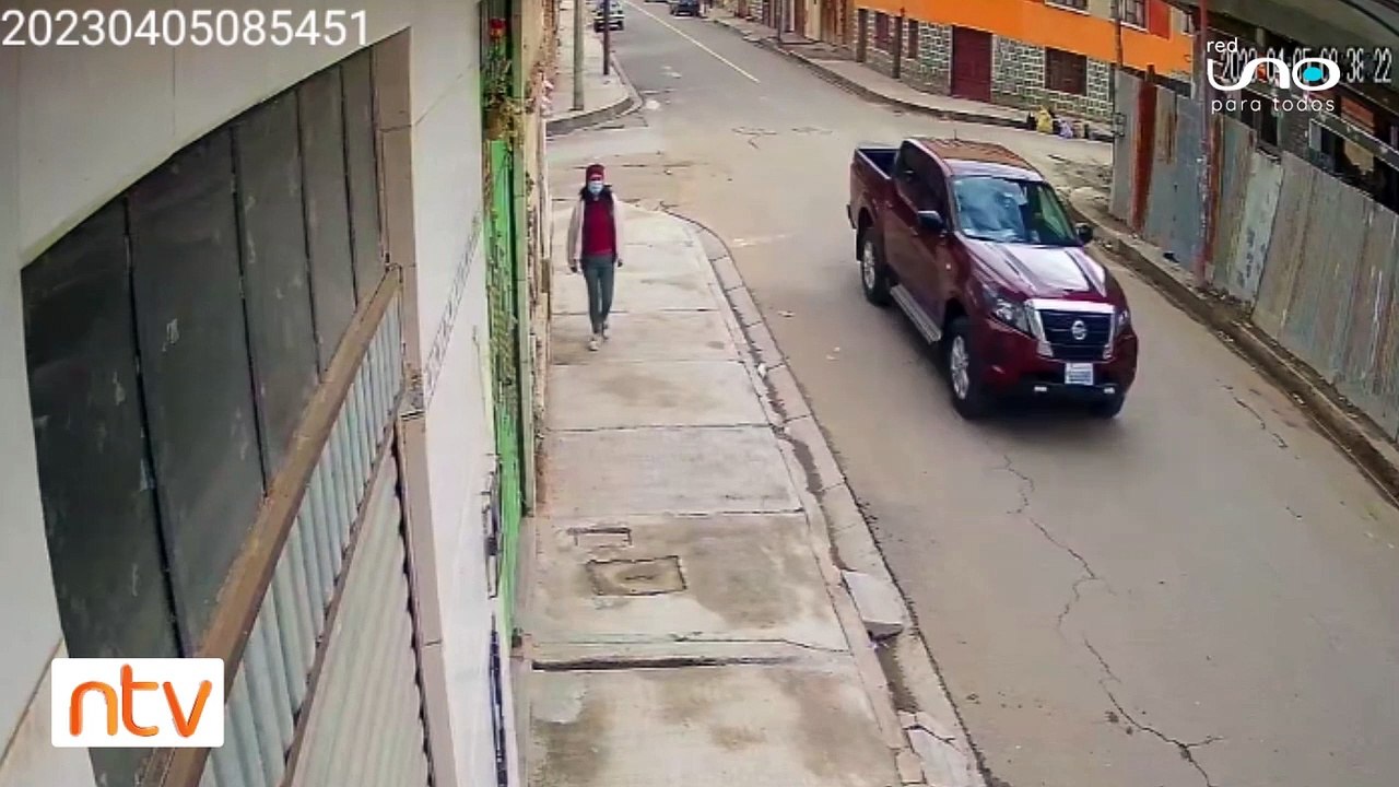 Cae un perro de un segundo piso