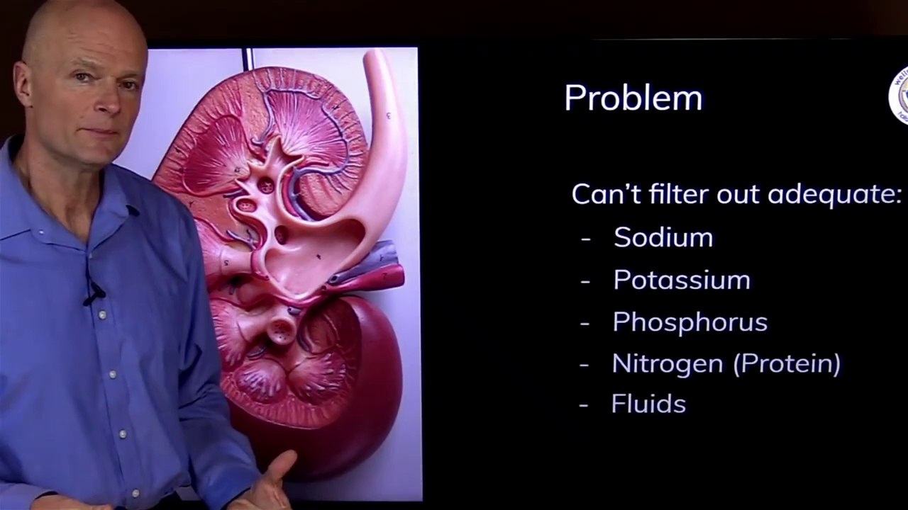Top 10 Foods To Detox Your Kidneys #Top 10 Foods #To Detox Your Kidneys#