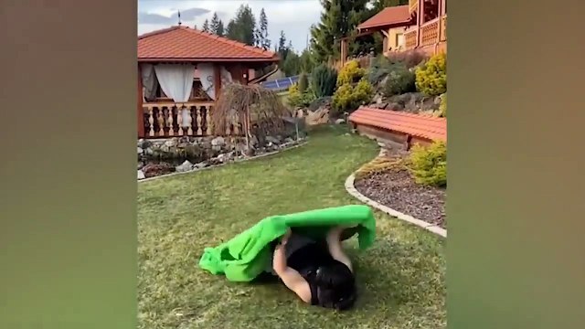 Самые смешные животные _ Приколы с котами и собаками 2022 _ LA #11