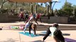 Desert Sol Wellness Event and Yoga at Desert Botanical Garden