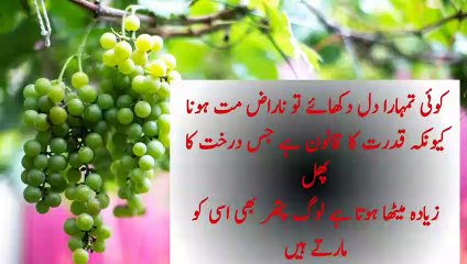 Most Beautiful Urdu Quotes | Aqwal e zareen | URDU QUOTES LIBRARY | Best life quotes