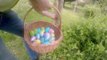Tips and Tricks for the Most Amazing Easter Egg Hunt With the Family