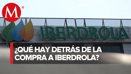 "No quedaba otra, se tenían que comprar sí o sí", dice especialista sobre plantas de Iberdrola