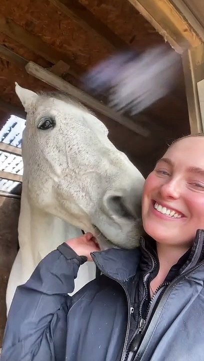 Affectionate Equine Shows Some Love