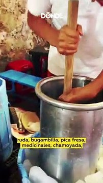 Lánzate a la Feria de la Nieve en Xochimilco ¡Habrá sabores clásicos y exóticos!