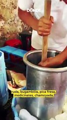 Lánzate a la Feria de la Nieve en Xochimilco ¡Habrá sabores clásicos y exóticos!