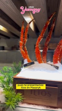 Ilios el mejor restaurante griego en Polanco con cocteles, vino y mariscos