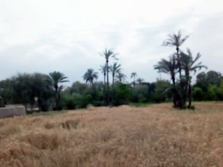 Village life mashaallah so good