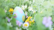 Can You Eat the Dyed Boiled Eggs After the Easter Egg Hunt?
