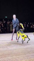 Facebook 999461344366925(MP4)