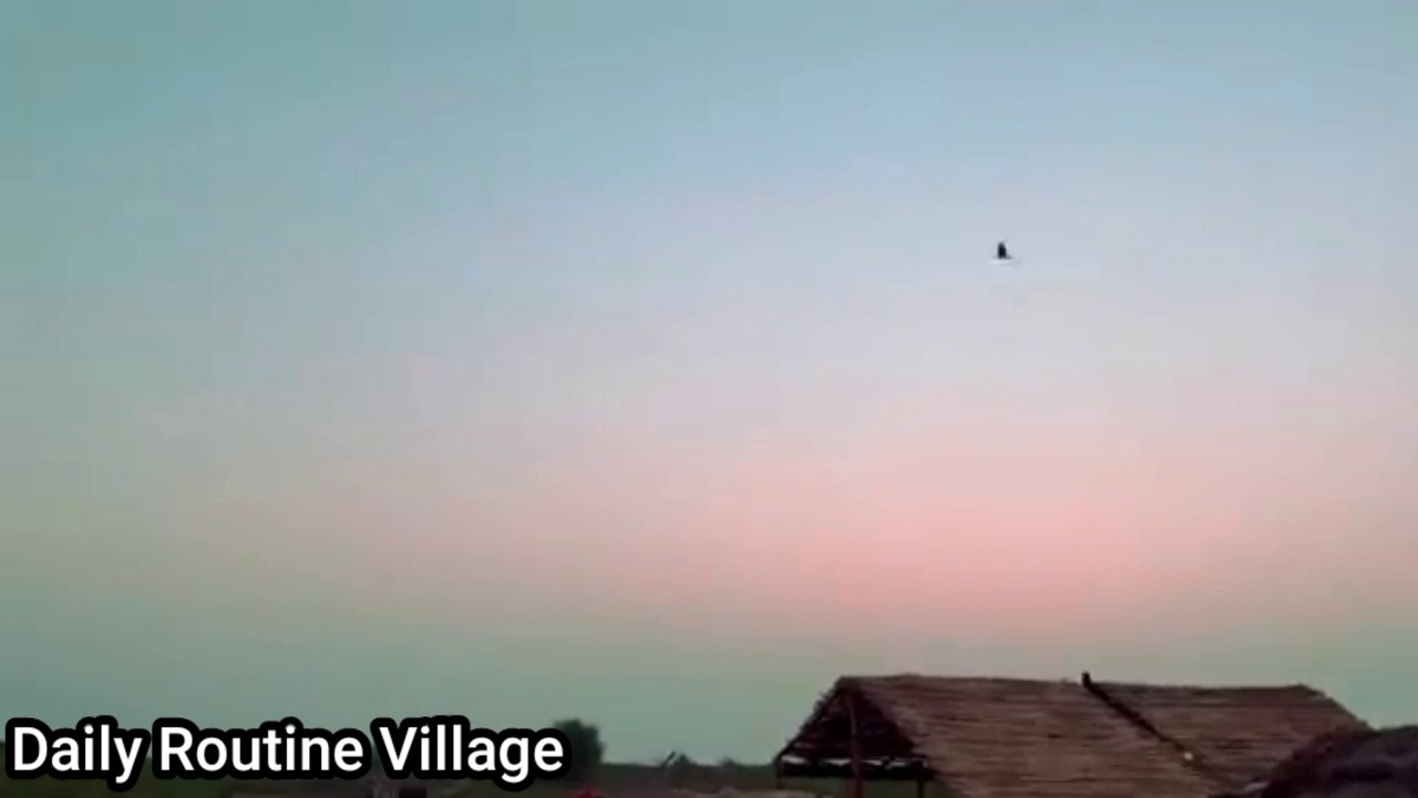 My morning routine | pakistan village life | summer morning | daily routine villahe