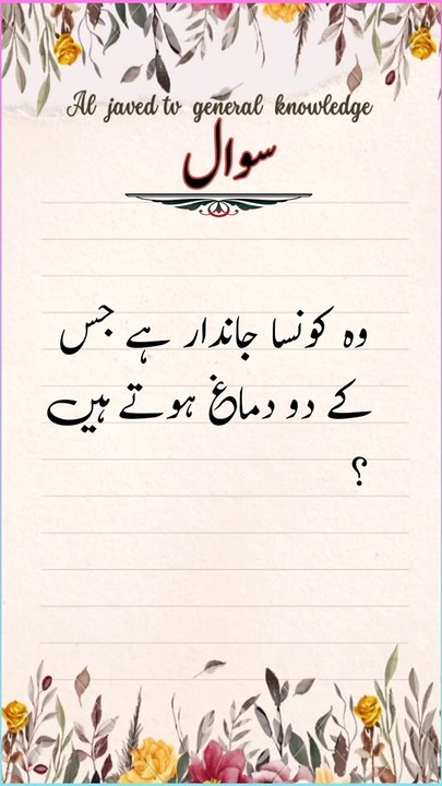 paheliy no27 |Riddles in urdu and hindi quiz answer questions|al javed tv