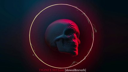 Tigini x No love || Mashup + Slow and Reverb song|| Bass boosted ||