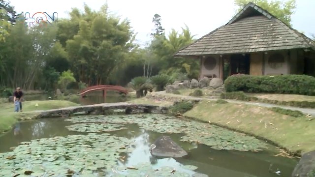 mqn-Vamos a pasear a un jardín lleno de flores-050423