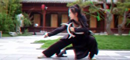 Chinese KongFu Master - Han Liang (51)