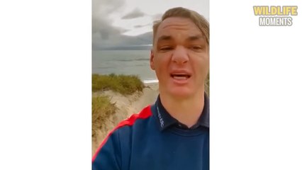 Dog Messed With Wrong Tiger & 45 Horror Moments Dogs Become Prey