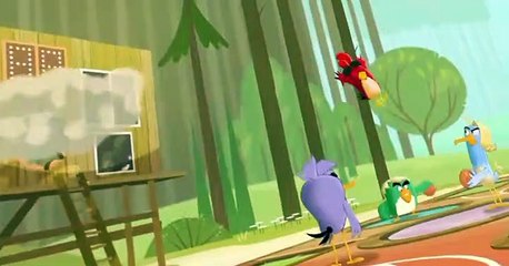 Angry Birds: Summer Madness Angry Birds: Summer Madness E014 A-Haw-Haw