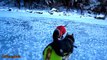 Cats and Dogs Slipping on Ice Compilation -