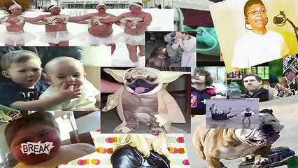 Who's The Biggest Vidiot - Splash Gordon, Banana Rama, or Turkey Chicken