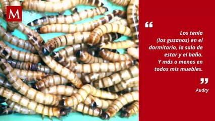 Su vecina murió sola en su departamento; durante dos años nadie lo notó